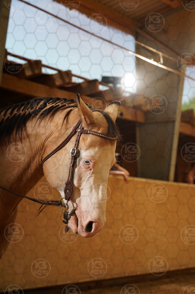 s_A9_05136.jpg